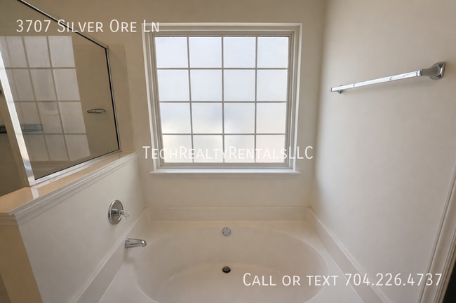 Building Photo - 3707 Silver Ore Ln