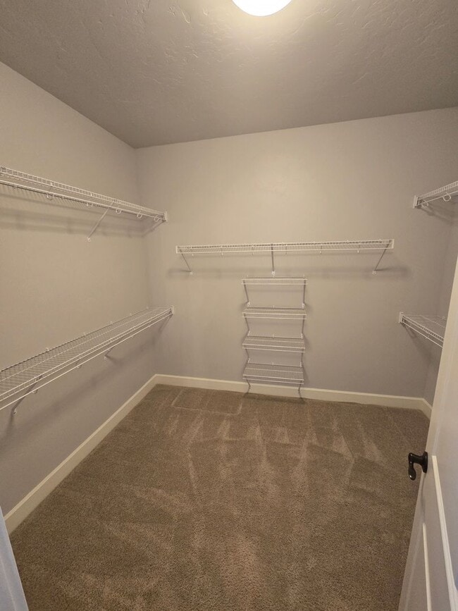 Building Photo - Beautiful Home with Comfort and Convenienc...