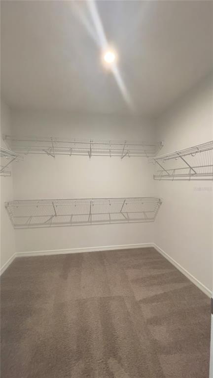 Building Photo - 3959 Fescue St