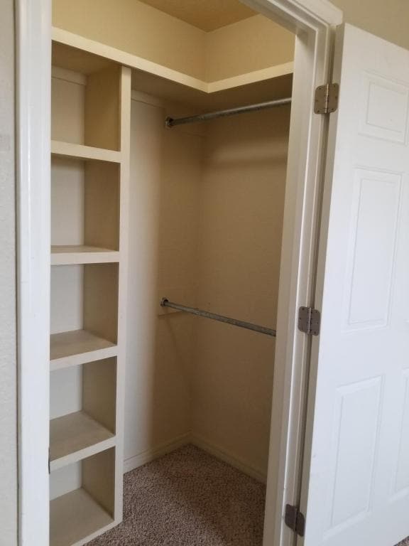 Building Photo - 2803 Conner Dr