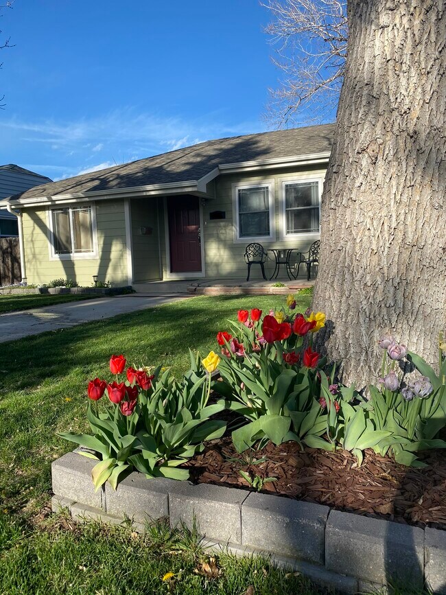 Building Photo - 5110 Clay St