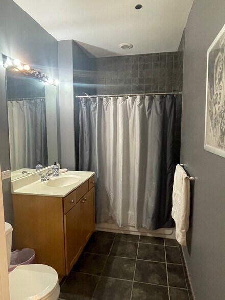 Front Bathrom - 720 N Larrabee St Unit 1707
