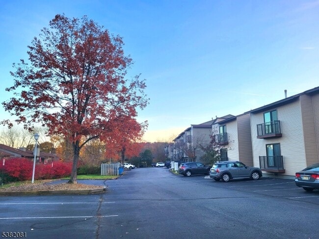 Building Photo - 1211 Spruce Hills Dr