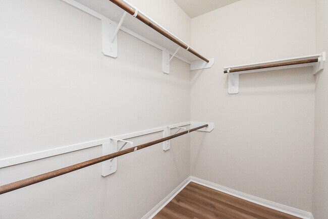 Building Photo - 24914 Alberti Sonata Dr