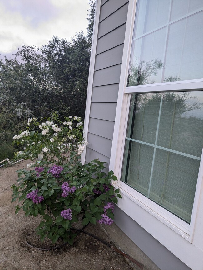Building Photo - 27591 High Vista Dr