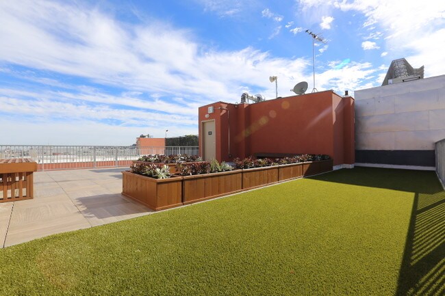 Dog Run - STEVENSON LOFTS