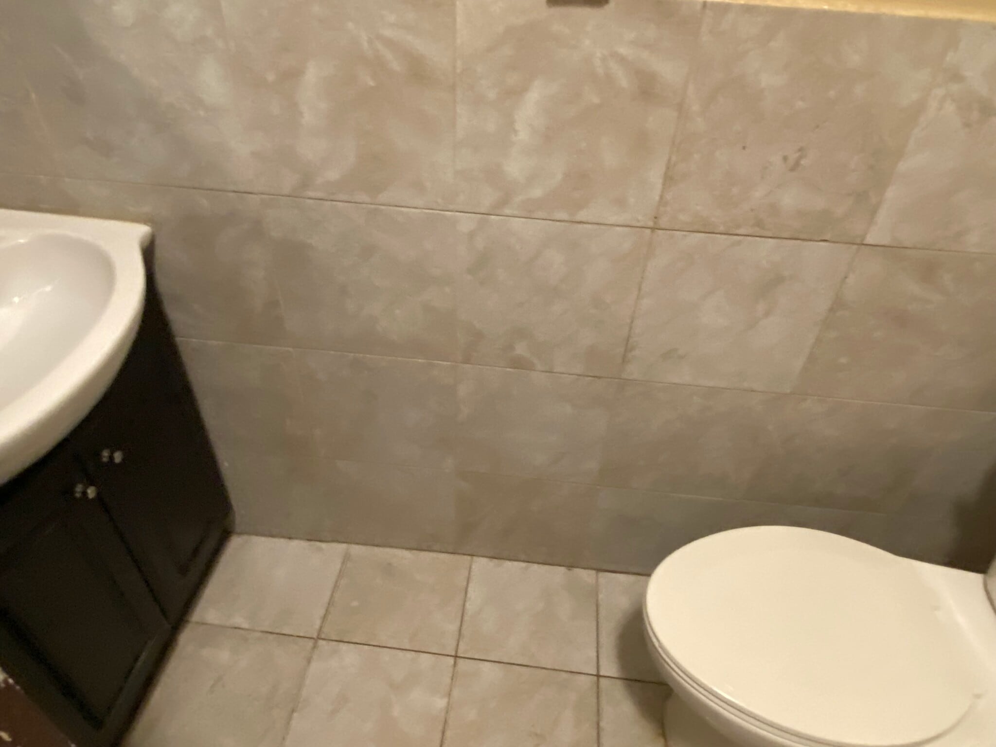 Bathroom - 313 S 3rd St