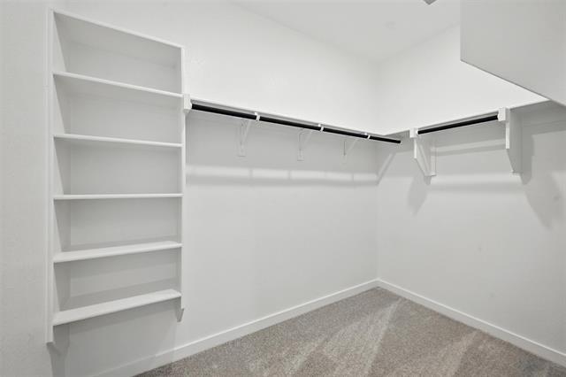 Building Photo - 1813 Bog Spruce Ln