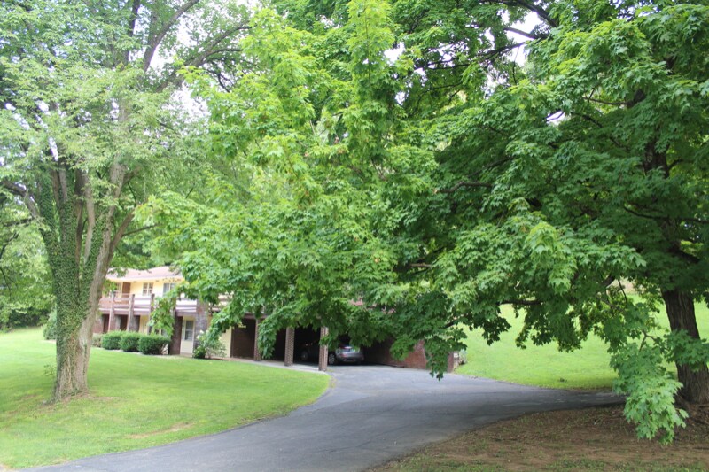 Building Photo - 103 Terrace Ct