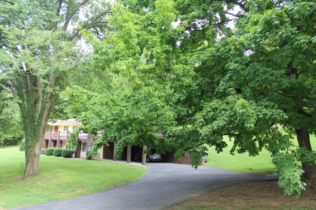 Building Photo - 103 Terrace Ct