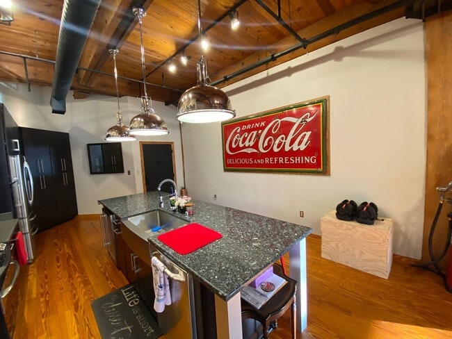 Building Photo - Stunning Fully Furnished Loft in the Heart of Norfolk