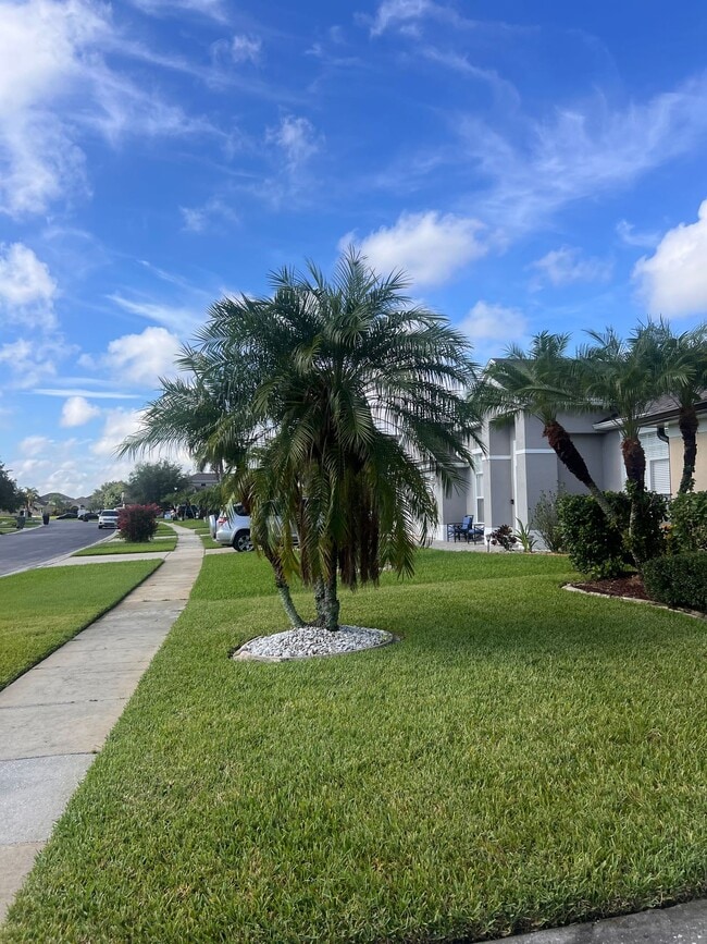 Building Photo - 2914 River Birch Dr