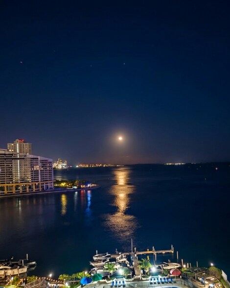 Building Photo - 999 Brickell Bay Dr