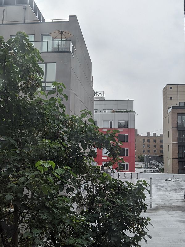 Building Photo - 20 Clinton St