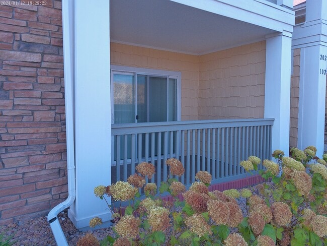 Patio - 4915 Hahns Peak Dr