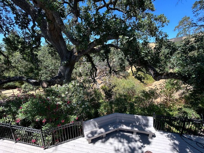 Building Photo - Must See Spacious Alamo 4BR Home with Remo...