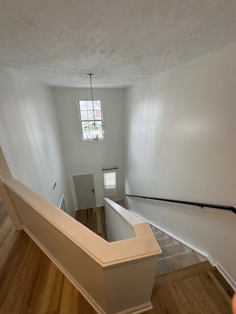 Building Photo - 8428 Charbay Cir