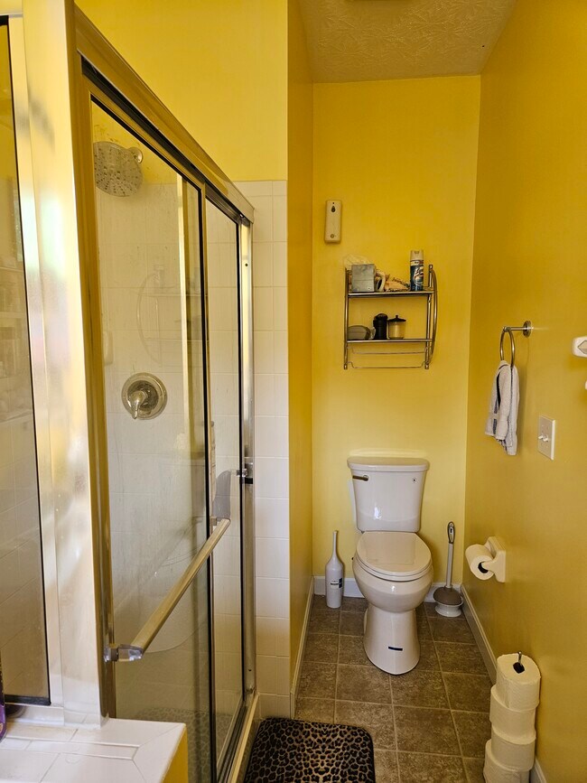 Master bathroom - 2436 Bluffcrest Ln