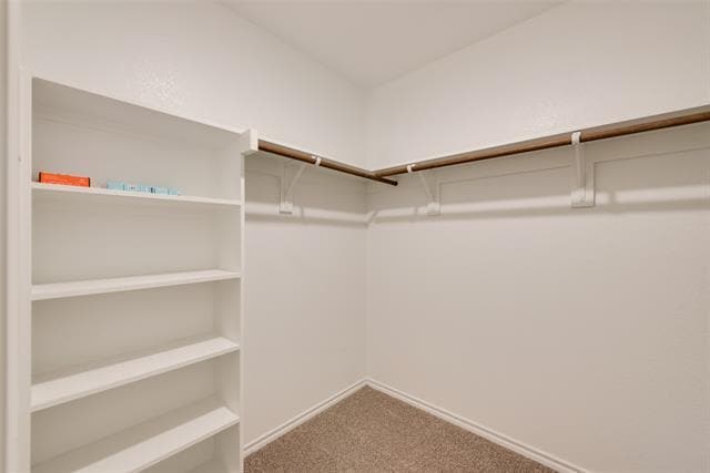 Building Photo - 1505 Elm Frst Wy