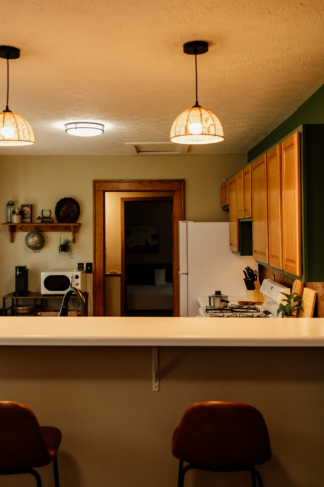 bar top, open concept kitchen - 1203 E Edwards Ave