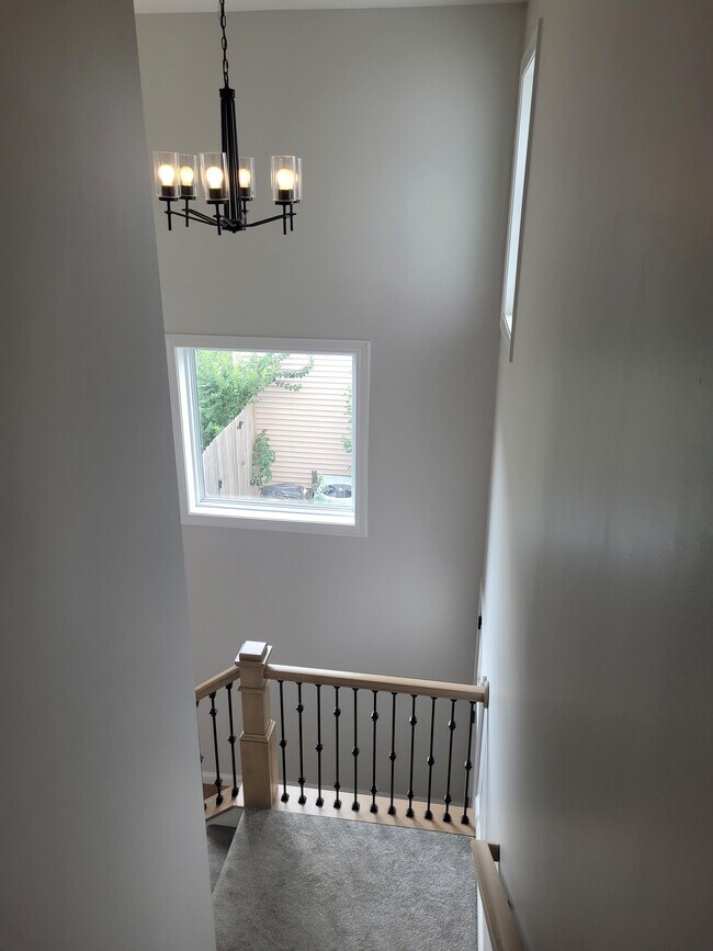 Building Photo - 2404 Grey Fox Trail