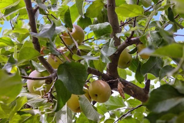 Building Photo - 14 Stadium Way