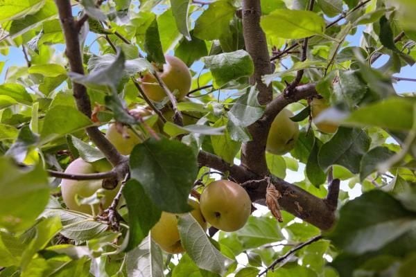 Building Photo - 14 Stadium Way