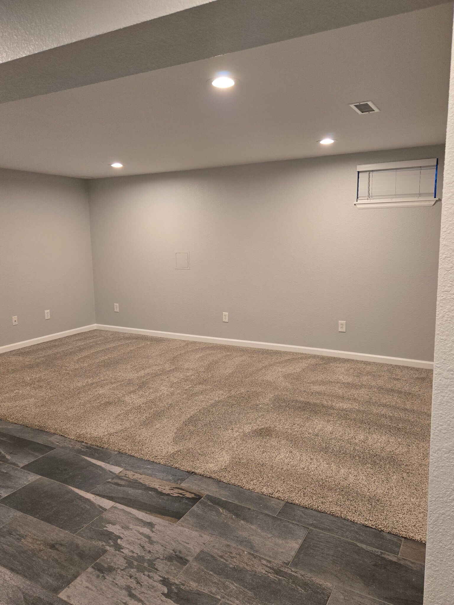 Bsmt Rec Room v1 - 8731 Field Way