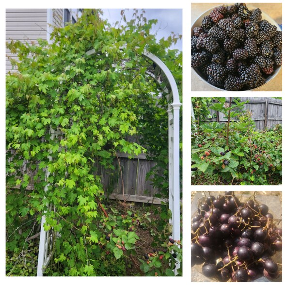 Building Photo - 6530 Guard Hill Dr