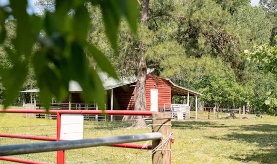Building Photo - Lavender Cottage