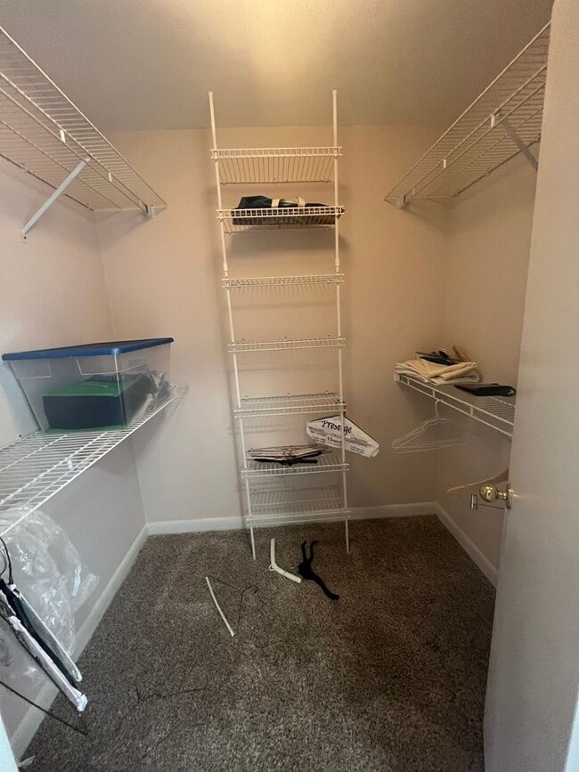 Building Photo - Beautiful 3 Bedroom 3 Bathroom Single Family Home