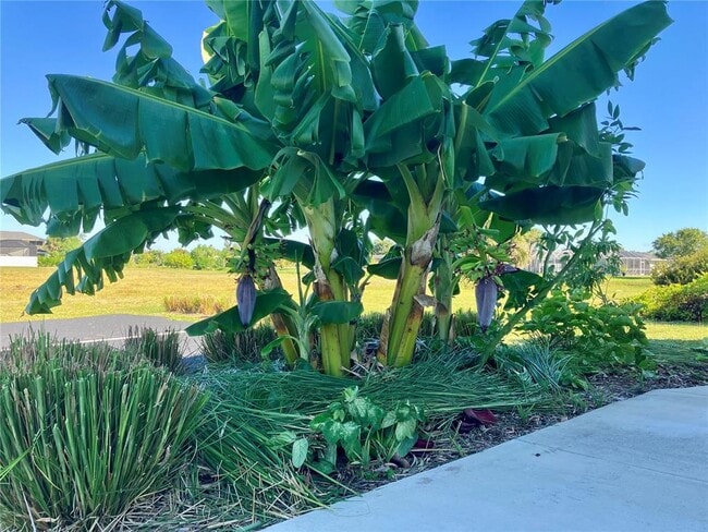 Building Photo - 146 Boundary Blvd