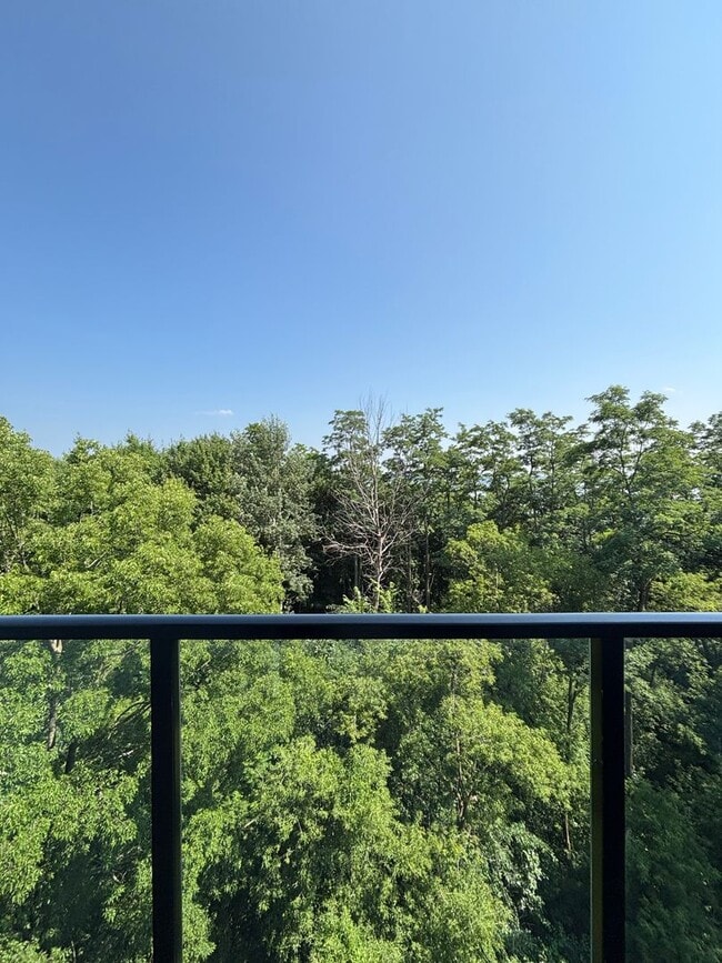 Building Photo - 2 Bedroom Corner-Unit with Wooded Balcony ...