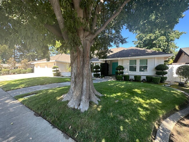 Building Photo - 2601 Bardolino Ln