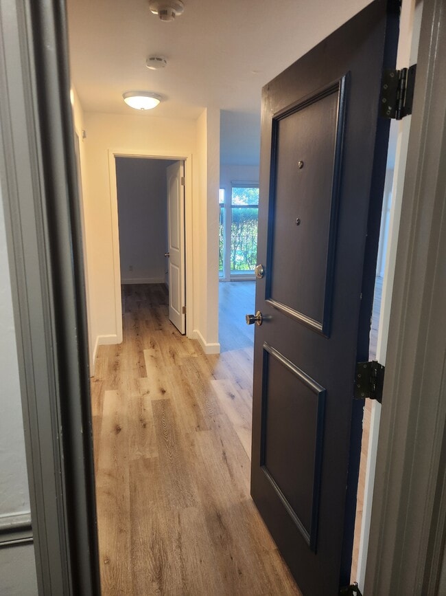 Primary Photo - 259 Eden Roc Dr