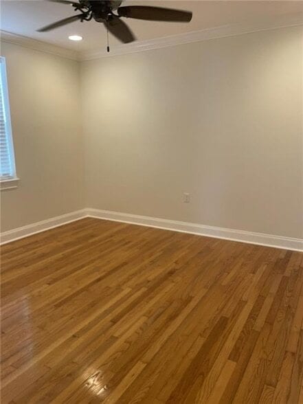Building Photo - 430 Olive Ave