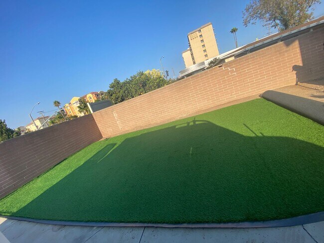 Building Photo - Huge 2 story 8 bed room Home: a hop and a skip from SDSU!  You will never be late to class!