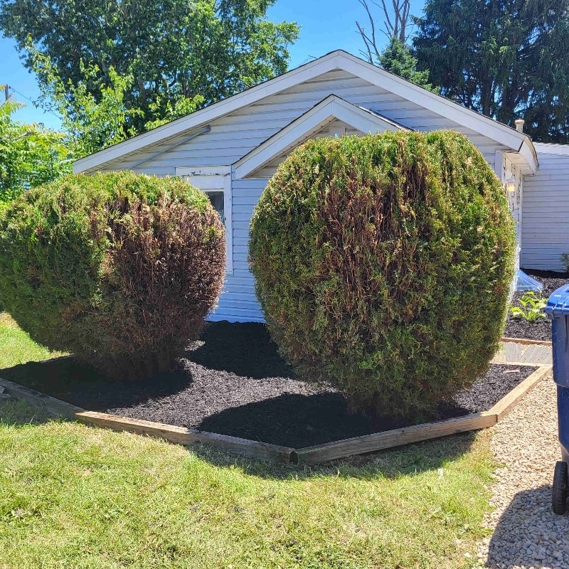 Building Photo - 1218 Vincent Ct