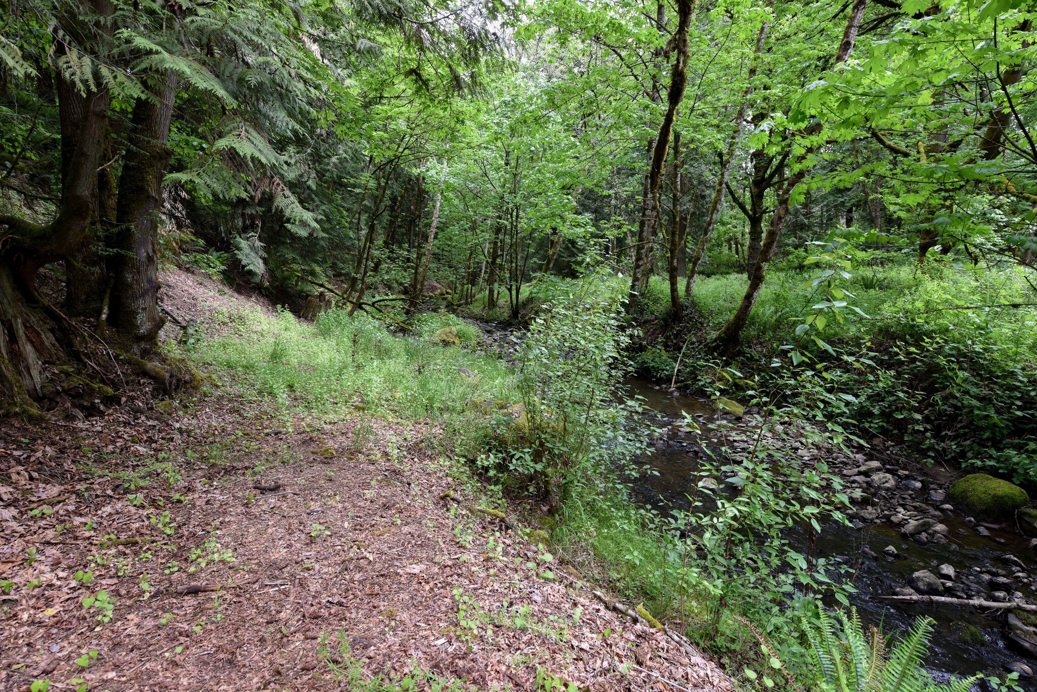 Building Photo - 12458 SE 110th Ct