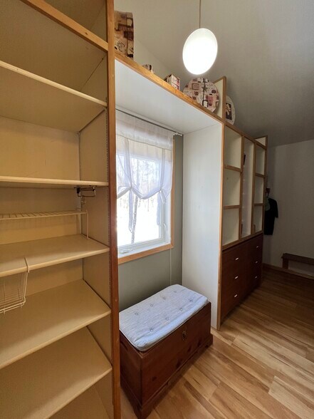 Owners walk-in closet - 38079 Dead Lake Rd