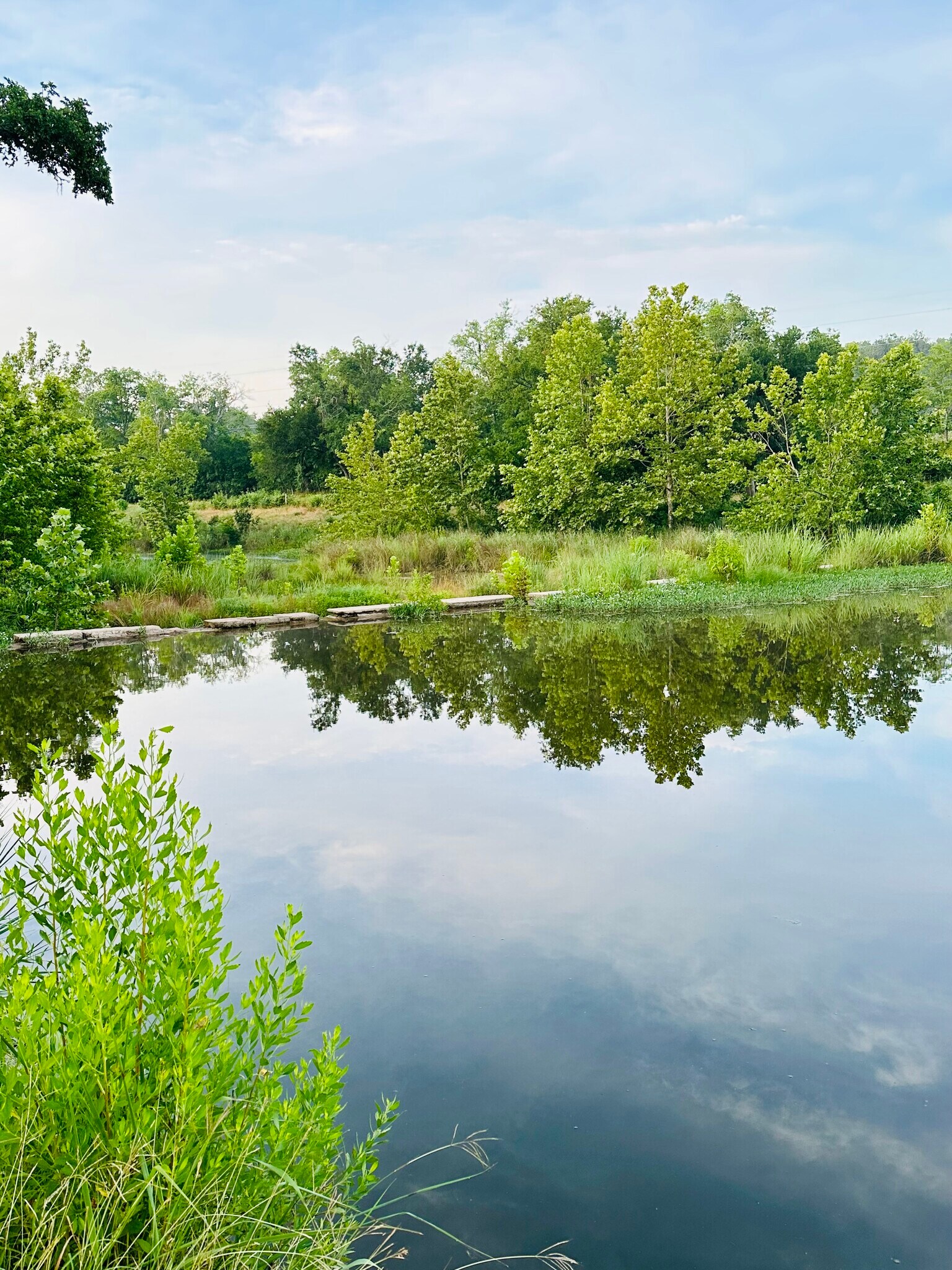 Onion Creek - 429 Pink Granite Blvd