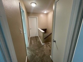 Building Photo - 44051 Stein RoadApt 1