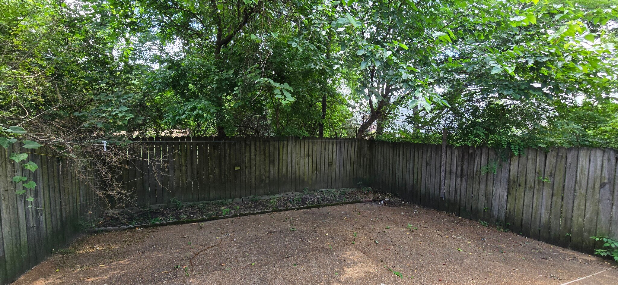 Building Photo - 6761 Whitten Pine Dr