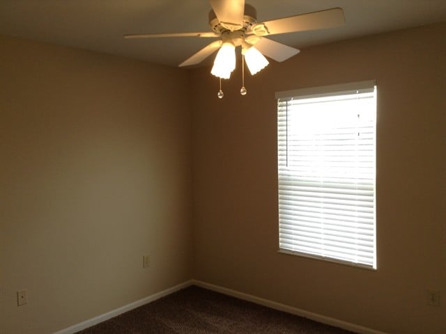 Building Photo - 8460 Moonstone Ct