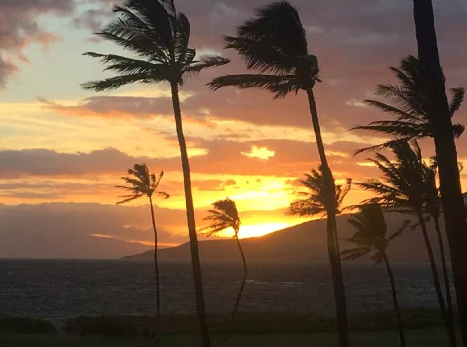 Building Photo - 938 S Kihei Rd