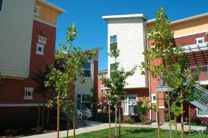 Building - Chesley Mutual Housing