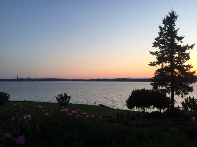 Marsh Park Tree, Seattle and the Olympics at twilight - 6620 Lake Washington Blvd NE