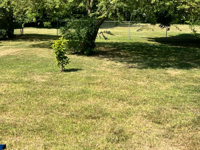 Building Photo - 215 Willow Ave