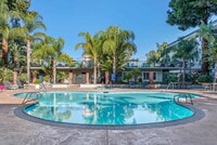 Building Photo - Regency at Mountain View