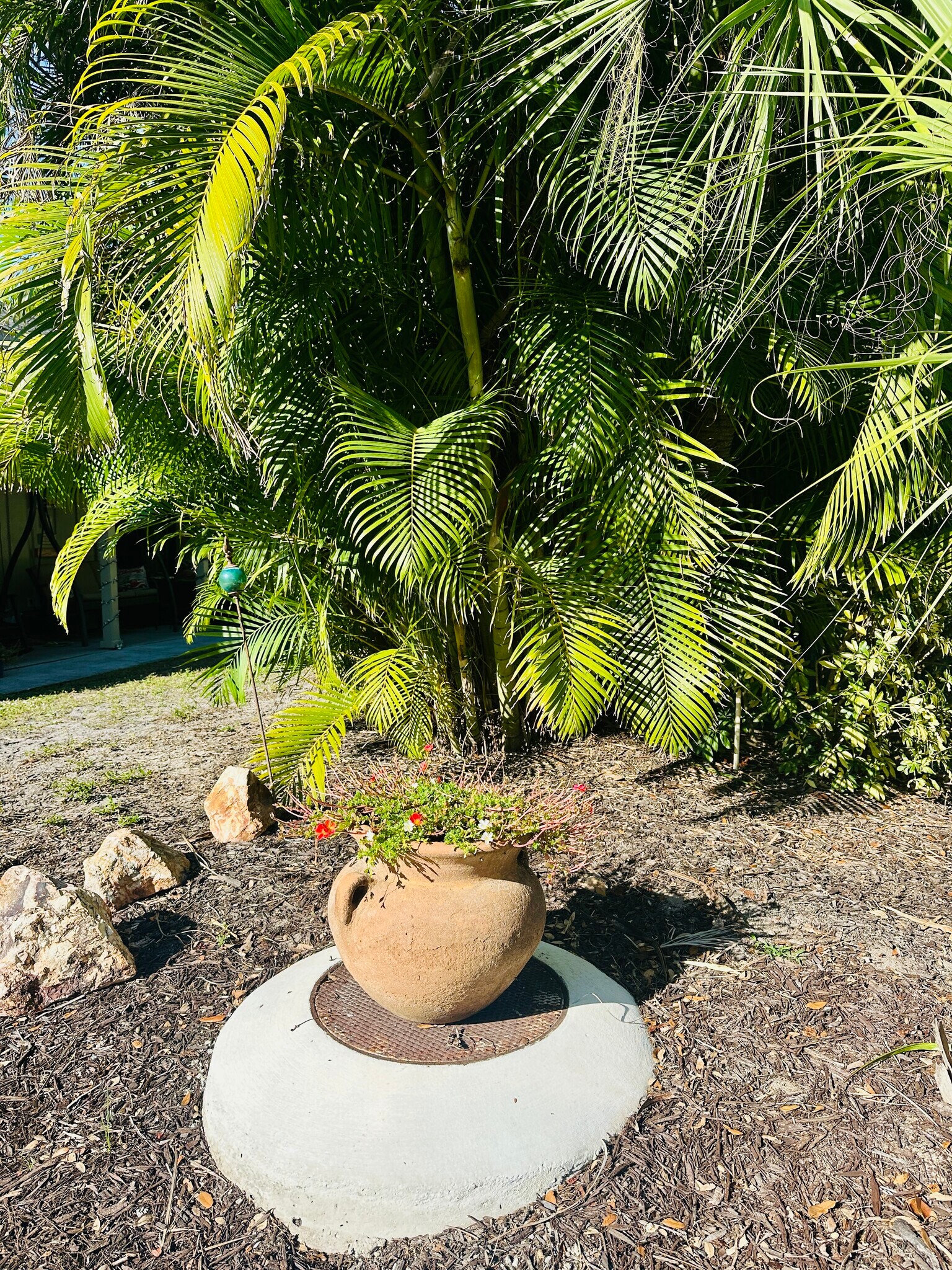 Building Photo - 2208 Bahia Vista St